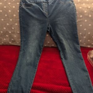 Stylish Blue Women's Skinny Jeans